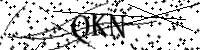 请输入下方的验证码