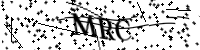 请输入下方的验证码