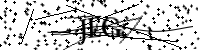 请输入下方的验证码